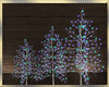 Winter Lighted Trees