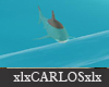 xlx Shark Animated