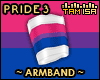 T! Pride Armband #3