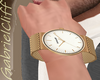 Chrome Leather Watch