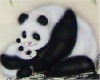 Chinese paint-panda& cub
