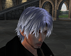 Sylver Hair
