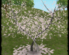 [4ND]Sakura Tree