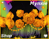 Bynx 2.0 F Roses 1
