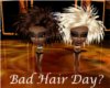 Bad Hair Day?
