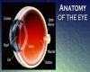 Dr.Ayelet Eye Clinic