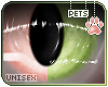 [Pets] Izu | eyes 2-T