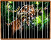 Animated Tiger Picture