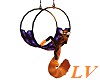LittelRedPanda Swing Lu6