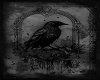 Crow Art 5