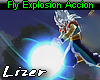 Fly Explosion Accion