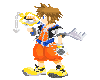 Sora