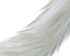 white anim tail