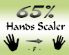Hand Scaler 65%