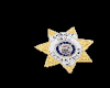 !S! Sheriff Chest Badge