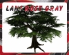 LRG - Large Tree