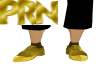 *PRN*Chic Golden Shoes