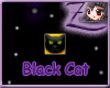 [Z] bling Black Cat