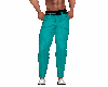 Teal Pants