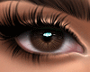 Eyes-D Brown