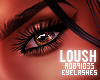  . Loush Lashes 02