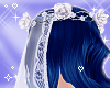 Long Veil Bride