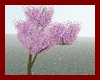 NLNT*Sakura Blossom