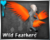 D~Wild Feathers: Orange