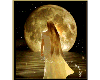 moon lady