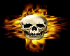 Fired Up Skull Animated