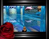 *MA*Blue Dolphin Room