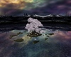 C* The Silent Tree