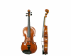 violin dubstep