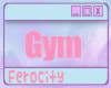Ferocity Gym