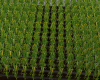 EY Ladang Jagung
