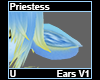 Priestess Ears V1