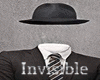 Invisible Male / Female