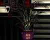 ~RS~ 0113 Plant