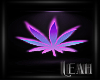 xLx Neon Weed