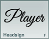 Headsign Player