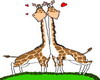 Animated Girafe Love