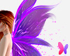 Violet fairy wings