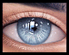 🤍Male Eyes Blue🤍
