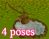 Zen Pond with 4 Poses
