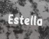 Estella Custom Pop