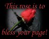 Red Rose Blessing