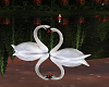 Kissing Swans