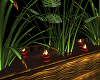 Ambient Plants