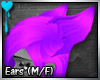 D~Complex Cat: Purple