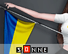 Flag Ukraine Avi.